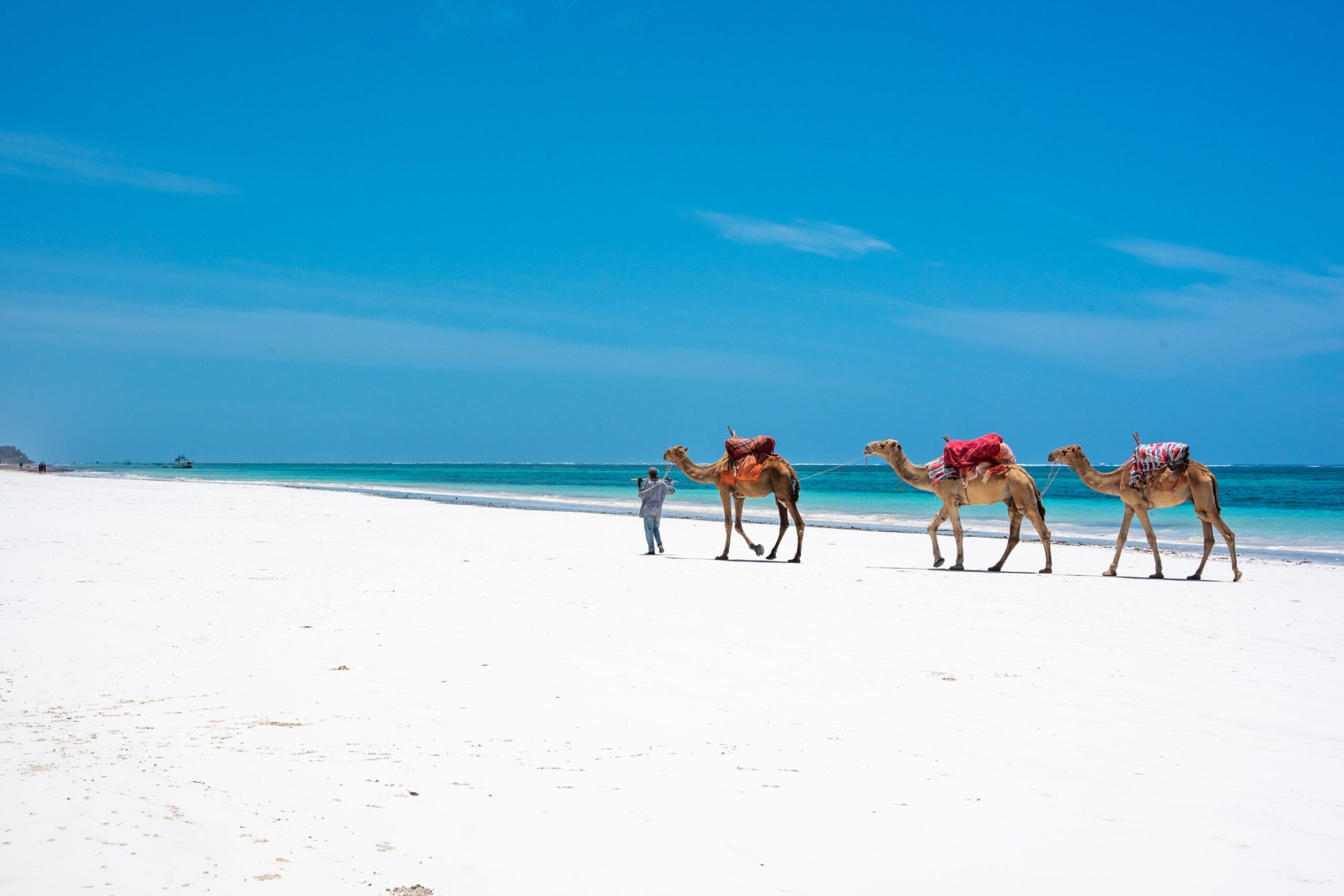Diani