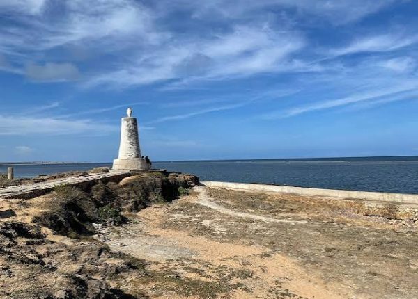 Malindi Vasco da Gama & Falconry Tour