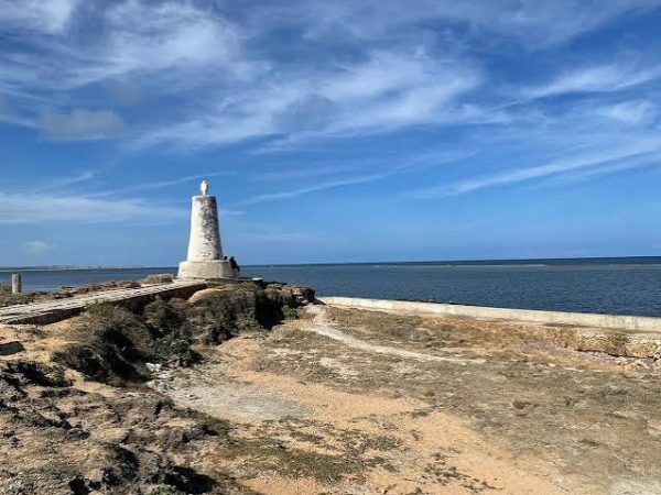Malindi Vasco da Gama & Falconry Tour